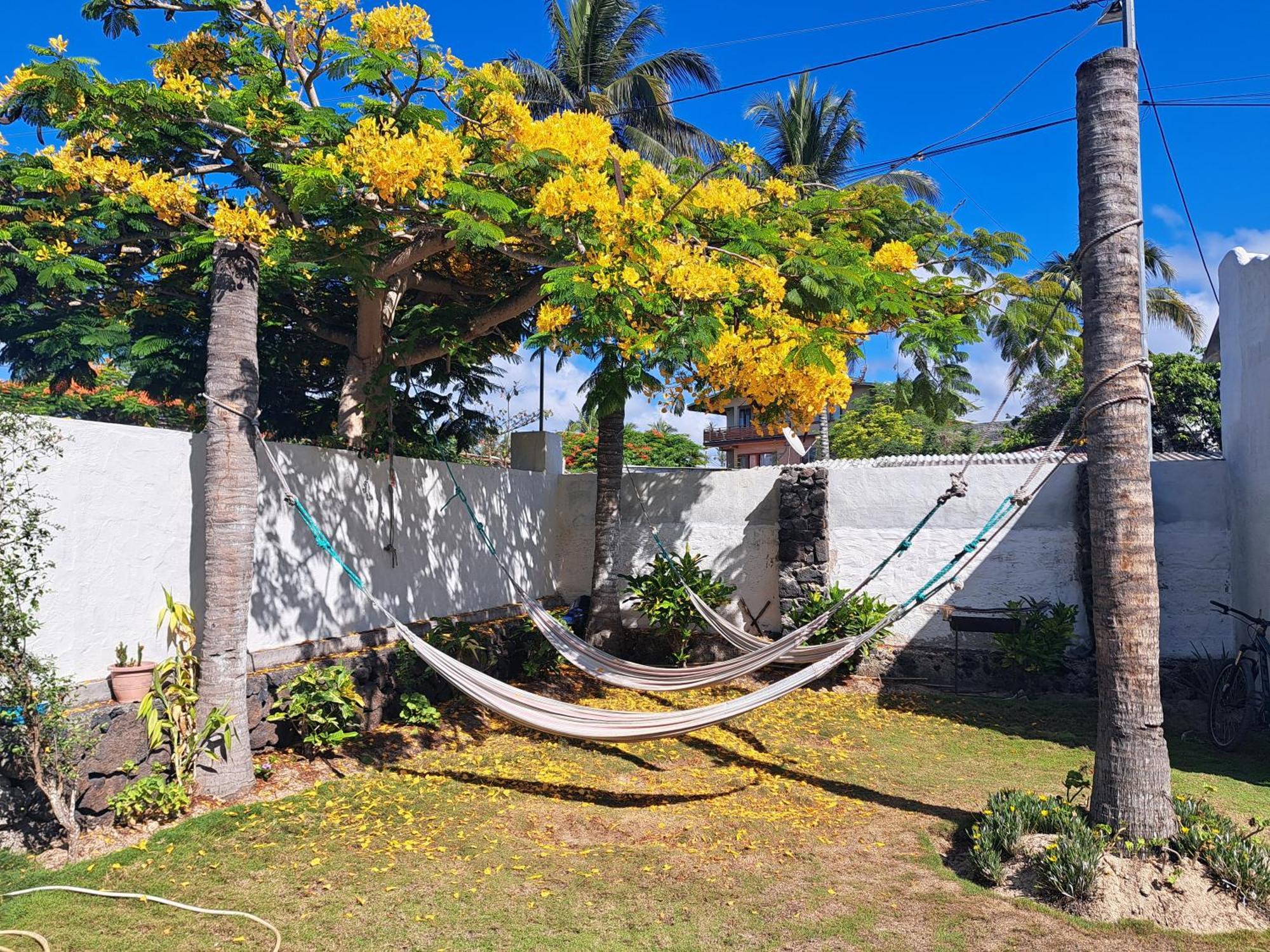 Hostal Tero Real Puerto Villamil Eksteriør bilde